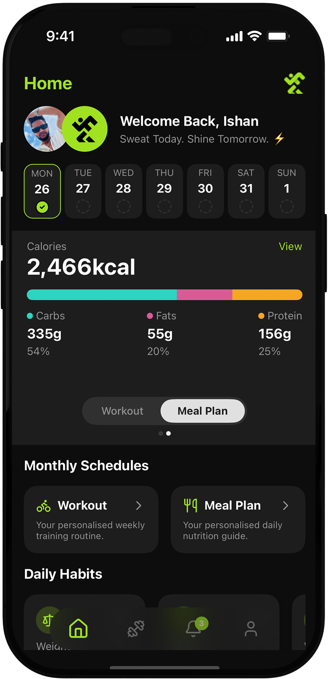 Illustrative daily meal plan with breakfast, lunch, snacks, and dinner